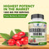 Berberine 1800mg Per Serving, 90 Veggie Capsules, Cardiovascular & Heart Health, Immune Support Supplement