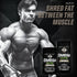 PMD Sports Omega Cuts Elite Fat Loss Formula - Omega Fatty Acids, MCT's, CLA, Keto Friendly, 90 Softgels