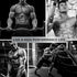 Testosterone Supplement for Men: Muscle Growth, Stamina & Performance, Test Boost Max Gummy, 60ct