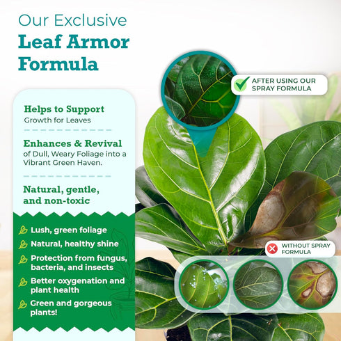 Leaf Armor Spray for Houseplants, Protects Against Fungal Spots, Gentle Natural Formula, 8 oz Made in USA