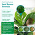 Leaf Armor Spray for Houseplants, Protects Against Fungal Spots, Gentle Natural Formula, 8 oz Made in USA