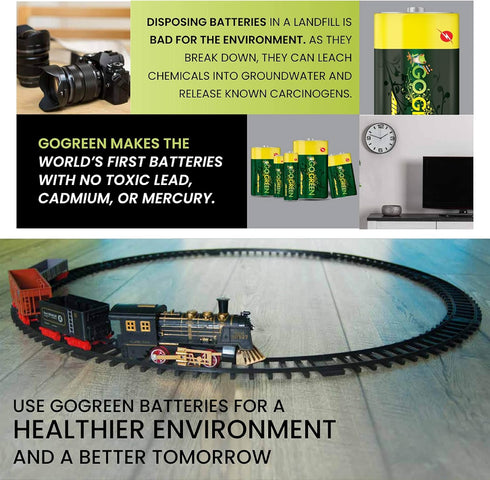 GoGreen Power (24004) Eco-Friendly Alkaline D Batteries, No Lead, Cadmium or Mercury, Pack of 2