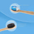 The Humble Co. Electric Toothbrush Replacement Heads 4pk, Sustainable Bamboo, BPA-Free, Compatible with Philips