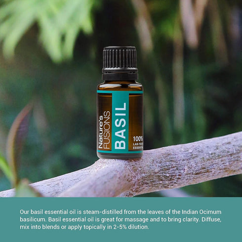 Nature’s Fusions Basil Essential Oil for Clarity, 100% Pure, 15ml