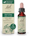 Bach Original Flower Remedies, Walnut Natural Homeopathic Essence for Adapting to Change, Vegan, 10mL Dropper