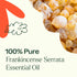 Plant Therapy Frankincense Serrata Essential Oil 10 mL (1/3 oz), 100% Pure, Natural Aromatherapy