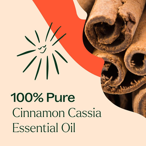 Plant Therapy Cinnamon Cassia Essential Oil 30 mL (1 oz) 100% Pure, Undiluted