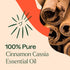 Plant Therapy Cinnamon Cassia Essential Oil 30 mL (1 oz) 100% Pure, Undiluted