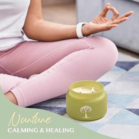 The Enlightened Haven 2-Wick 50 9.5oz Calming | Scented Candles for Home | Eucalyptus, Lavender, & Camomile | Natural