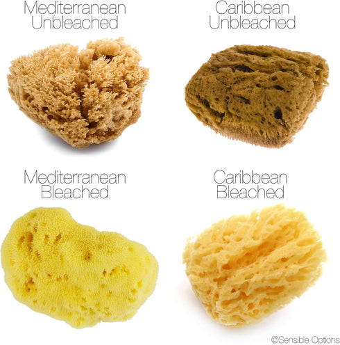 Natural Intimacy 3X 5.5-6.5cm Packaging. 5.5-6.5cm) IntimateCare Sea Sponges. Mediterranean Sponges in Plastic Free