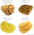Natural Intimacy 3X 5.5-6.5cm Packaging. 5.5-6.5cm) IntimateCare Sea Sponges. Mediterranean Sponges in Plastic Free