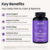 KSM-66 11-in-1 60 WellPath Soothe Cortisol Manager - Cortisol Supplements for Women with Ashwagandha & L-Theanine