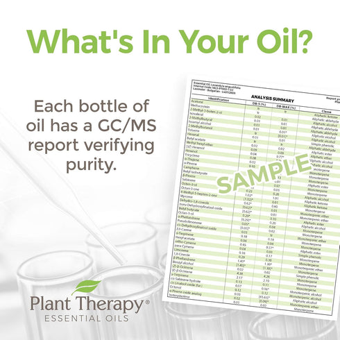 Plant Therapy Clove Bud Essential Oil, 100% Pure Natural Aromatherapy, Therapeutic Grade 10 mL (1/3 oz)