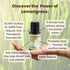 Rocky Mountain Oils Lemongrass Essential Oil - Essential Oils for Diffusers, Topical, Home - 15ml