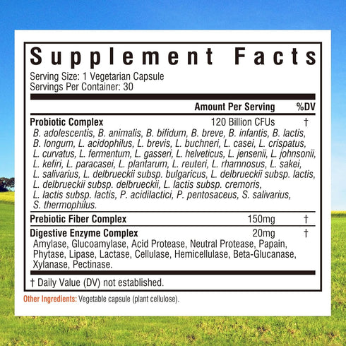 Innate Vitality Probiotics 120 Billion CFUs - 30 Vegan Capsules for Men & Women with Prebiotics & Digestive Enzymes
