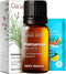 Gya Labs 100% Pure Natural Palmarosa Essential Oil - 0.34 Fl Oz for Skin, Aromatherapy, Massage, Candles - Sweet &