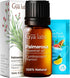 Gya Labs 100% Pure Natural Palmarosa Essential Oil - 0.34 Fl Oz for Skin, Aromatherapy, Massage, Candles - Sweet &