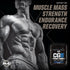 PMD Sports CG5 - Premium Creatine and L Glutamine Powder for Maximum Strength, Unflavored (30 Servings)
