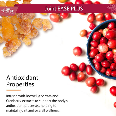 Buried Treasure Joint Ease Plus - 16 fl oz, Glucosamine Chondroitin with MSM and Turmeric for Joint Support