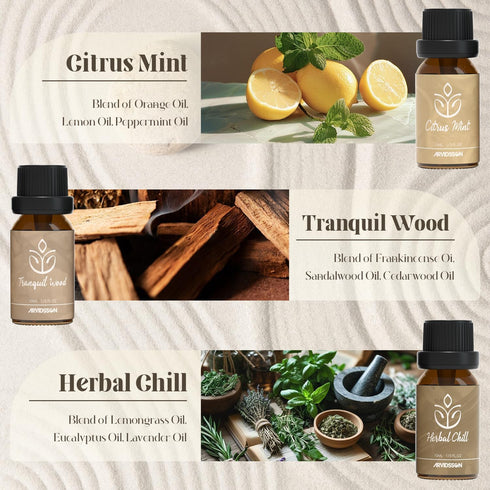 Set, ARVIDSSON Zen Essential Oils Nautal Tranquil Essential Oil for Diffusers for Home - Zen Garden, Lavender Dream
