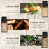 Set, ARVIDSSON Zen Essential Oils Nautal Tranquil Essential Oil for Diffusers for Home - Zen Garden, Lavender Dream