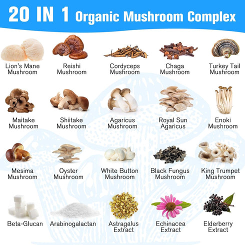 Mushroom Supplement 2600mg, 20-IN-1 Complex - Organic Mushrooms for Natural Energy, Immunity, Memory, Focus & Longevity