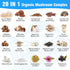 Mushroom Supplement 2600mg, 20-IN-1 Complex - Organic Mushrooms for Natural Energy, Immunity, Memory, Focus & Longevity