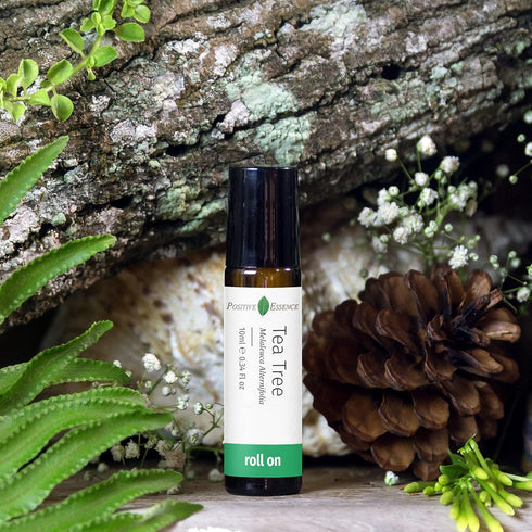 Tea Tree Oil Roll On, Essential Oil with Jojoba Oil, Organic Tea Tree for Skin Application Roller (15 mL)