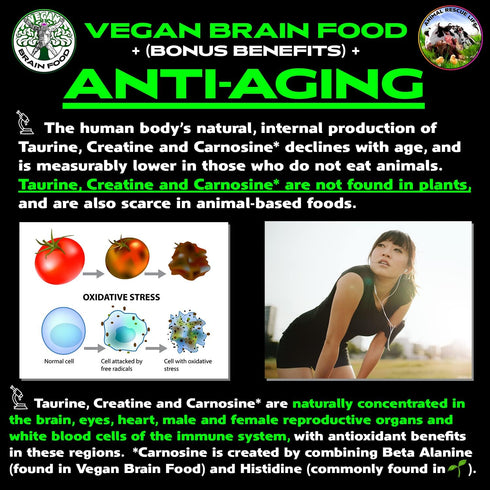 Vegan Brain & Body Boost, Plant-Based Lifestyle Supplement, Anti-Aging, Physical Fitness, Vegan Amino Acids - Creatine,
