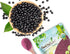 Food to Live - Organic Black Elderberry Powder, 12 Ounces Non-GMO, Great for Baking, Smoothies, Vegan
