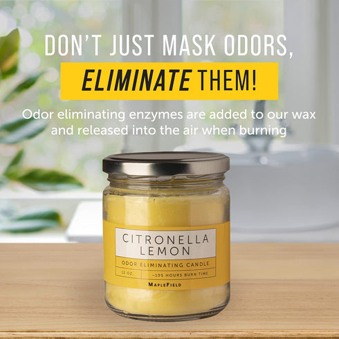 Odor Eliminating Candle, Air Freshener for Cooking, Cigarette Smoke, Pet Odors, 105 Hour Burn Time, 12 OZ