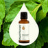 Plant Therapy Patchouli Essential Oil, 100% Pure, Natural Aromatherapy, 30 mL (1 oz)