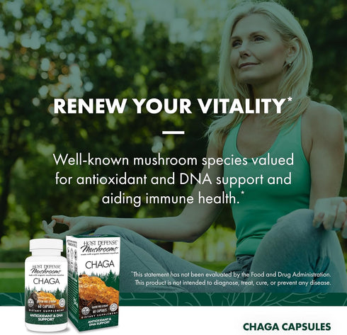 Immune 60 (30 Host Defense Chaga Capsules - System Support Supplement - Chaga Mushroom Capsules for Antioxidant
