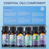 Essential Oils for Laundry, 100% Pure Aromatherapy Oils for Diffusers, 6x10ml Clean, Wool Dryer Balls