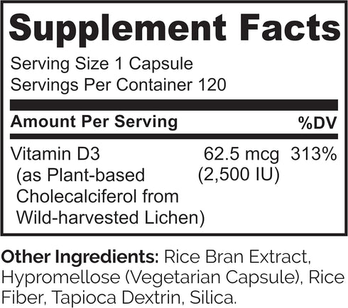 NATURELO Vitamin D 2500 IU, Plant Based Natural D3 Supplement for Immune System, 120 Capsules