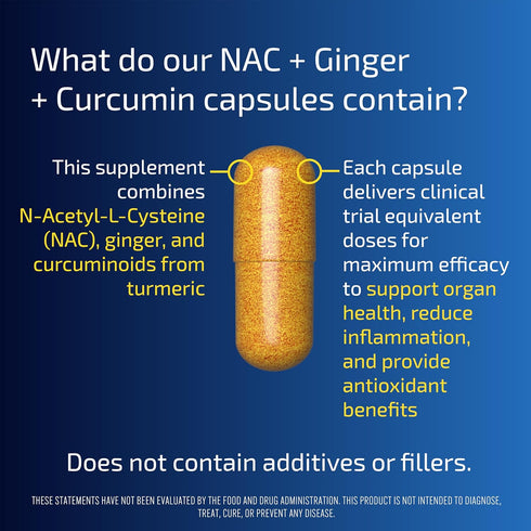 Blueprint Bryan Johnson NAC Supplement - Promotes Stress Relief, Immune Function, Respiratory Health - Vegan (30