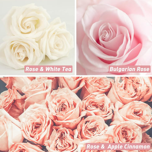 Rose Fragrance Oil, ESSLUX Floral Scented Oils for Home for Diffuser, Soap Candle Making Scents, Essential Oils Gift Set - Bulgarian Rose, Black Rose & Oud, Rock Rose and More