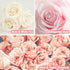 Rose Fragrance Oil, ESSLUX Floral Scented Oils for Home for Diffuser, Soap Candle Making Scents, Essential Oils Gift Set - Bulgarian Rose, Black Rose & Oud, Rock Rose and More