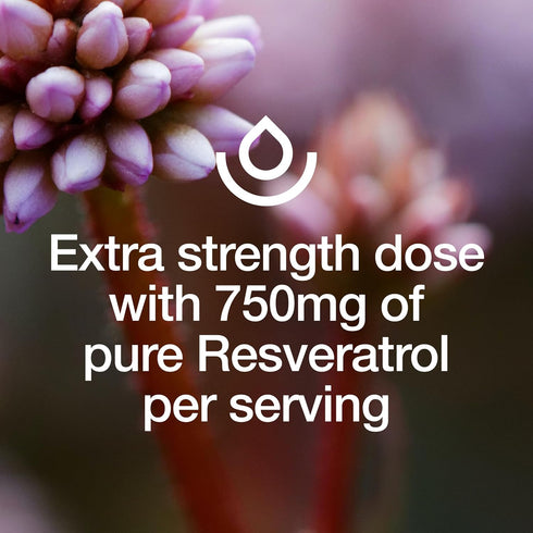 Resveratrol Supplement - Trans-resveratrol Extra Strength 750mg, Natural, Pure, Vegan, Non-GMO, Gluten-free, 90 Capsules