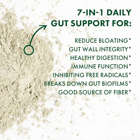 BIOHM Essential Digestive Greens - Green Superfood Powder with Antioxidants, Probiotics, and Berry Flavor