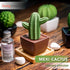 Maxi Cactus, Non-Electric Ceramic Diffusers for Essential Oils and Aromatherapy Fragrance, White Ceramic Diffusers
