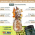 7in1 Clove Supplement Rich in Vitamins & Minerals for Digestive, Immune System, Bone & Heart Health with Cinnamon, Turmeric, Ginger, Cardamom, Garlic & Black Pepper - 100 Caps