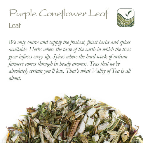 Immunity Purple Coneflower Herb Echenecia Tea - Support Tea - Echinacea Tea Coneflower Tea Echinacea Herb Purple Tea