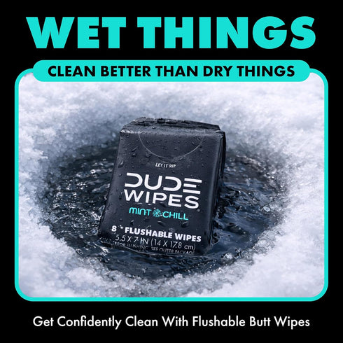 Packs 6 Packs 8 (48 Count) DUDE Wipes Mint Chill Pocket - Travel Wipes - of - On-The-Go Adult Flushable Wipes - Infused