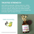 Immunity 60 Immune Immunity 500 60 Himalaya Hello with Quercetin, Day Supply - Herbal Support Supplement, Bioflavonoid