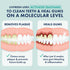 Toothpaste Gel, Clinically Proven to Remove Plaque 250% Better, Improves Gum Health 190% Better, Prevents Tartar,