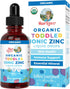 MaryRuth Organics Toddler Liquid Ionic Zinc Sulfate, 2 Fl Oz - Immune Support for Ages 1-3