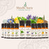 Shudh Aura 100% (30ML) Gingergrass Essential Oil | Pure, Undiluted and Natural | Therapeutic Grade Premium Oils