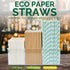 Aqua Paper Straws 10 Inch Extra Long for Tall Drinks, Baby Shower, Parties, Cocktails - 100 Counts