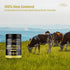 FREZZOR 100% Grass-Fed Whey Protein Powder - Vanilla Flavor with 21g Protein, Keto Friendly, 600 Grams